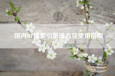国内BT搜索引擎排名及使用指南