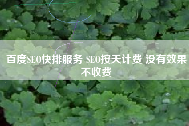 百度SEO快排服务 SEO按天计费 没有效果不收费