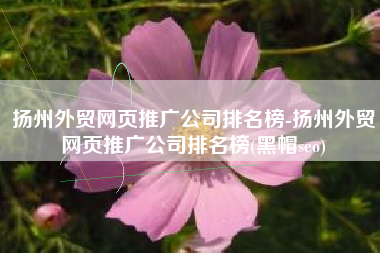 扬州外贸网页推广公司排名榜-扬州外贸网页推广公司排名榜(黑帽seo)