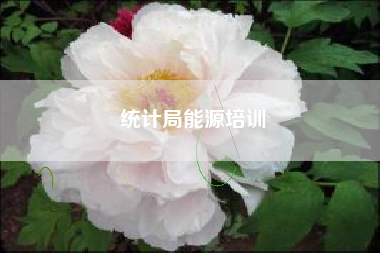 统计局能源培训