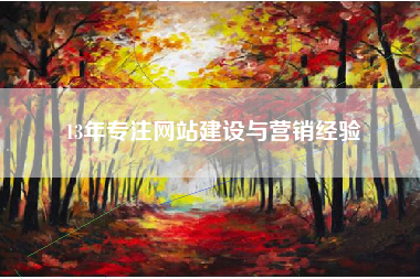 13年专注网站建设与营销经验