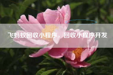 飞蚂蚁回收小程序，回收小程序开发