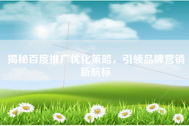 揭秘百度推广优化策略，引领品牌营销新航标