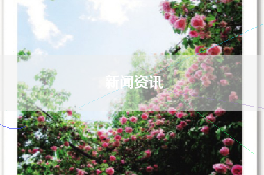新闻资讯