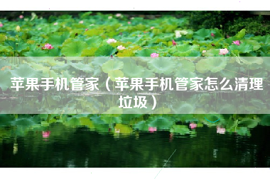 苹果手机管家（苹果手机管家怎么清理垃圾）