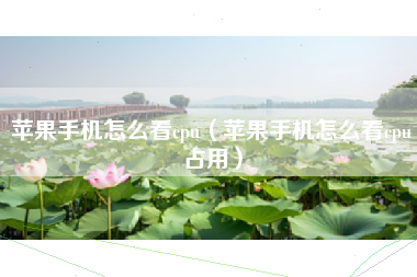 苹果手机怎么看cpu（苹果手机怎么看cpu占用）