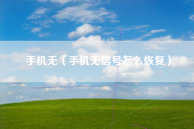 手机无（手机无信号怎么恢复）