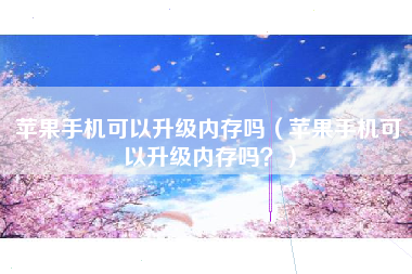 苹果手机可以升级内存吗（苹果手机可以升级内存吗？）
