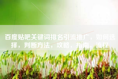 百度贴吧关键词排名引流推广，如何选择，判断方法，攻略，指南，流程