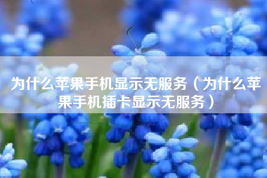 为什么苹果手机显示无服务（为什么苹果手机插卡显示无服务）