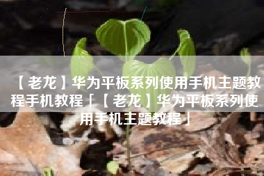 【老龙】华为平板系列使用手机主题教程手机教程「【老龙】华为平板系列使用手机主题教程」