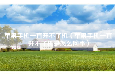 苹果手机一直开不了机（苹果手机一直开不了机是怎么回事）