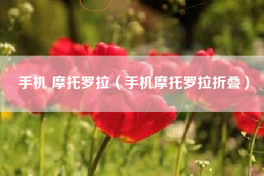 手机 摩托罗拉（手机摩托罗拉折叠）