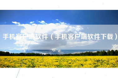 手机客户端软件（手机客户端软件下载）