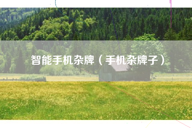 智能手机杂牌（手机杂牌子）
