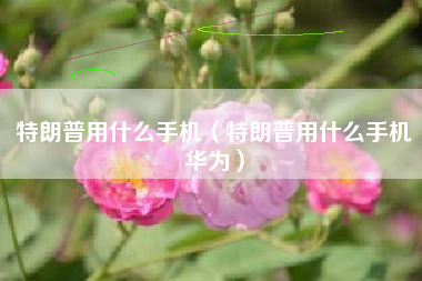 特朗普用什么手机（特朗普用什么手机华为）