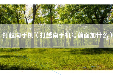 打越南手机（打越南手机号前面加什么）