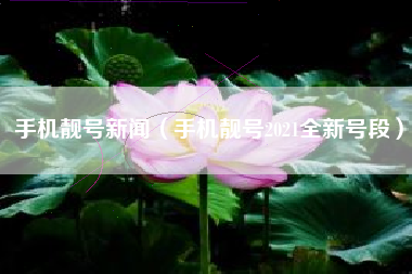 手机靓号新闻（手机靓号2021全新号段）