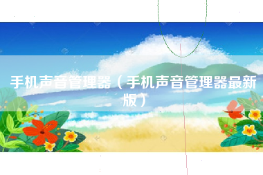 手机声音管理器（手机声音管理器最新版）