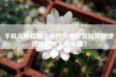 手机充电检测（手机充电检测到异物或液体请拔下充电器）