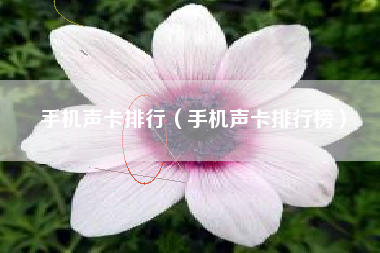 手机声卡排行（手机声卡排行榜）