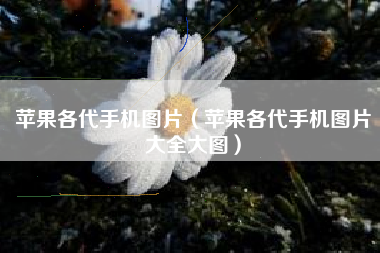 苹果各代手机图片（苹果各代手机图片大全大图）