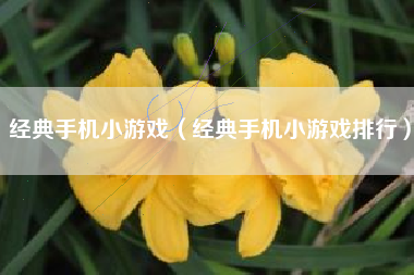 经典手机小游戏（经典手机小游戏排行）