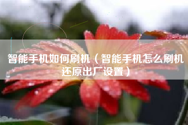 智能手机如何刷机（智能手机怎么刷机还原出厂设置）
