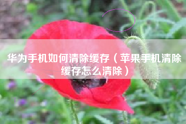 华为手机如何清除缓存（苹果手机清除缓存怎么清除）