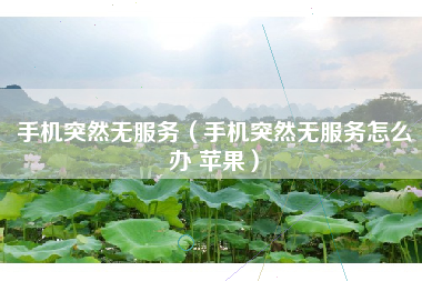 手机突然无服务（手机突然无服务怎么办 苹果）