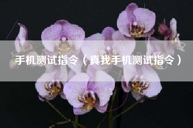 手机测试指令（真我手机测试指令）