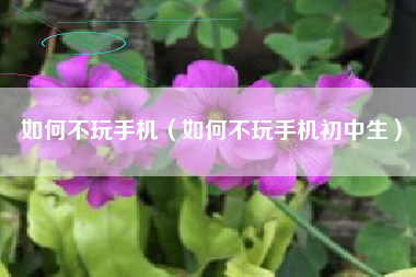 如何不玩手机（如何不玩手机初中生）