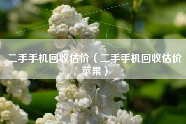二手手机回收估价（二手手机回收估价苹果）