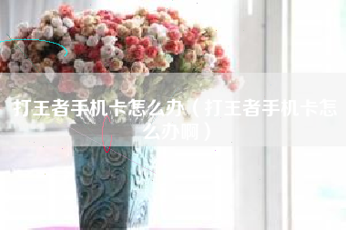 打王者手机卡怎么办（打王者手机卡怎么办啊）