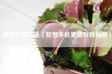 联想手机更新（联想手机更新教程视频）