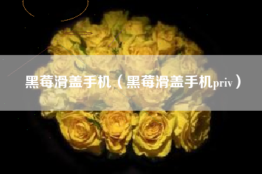 黑莓滑盖手机（黑莓滑盖手机priv）
