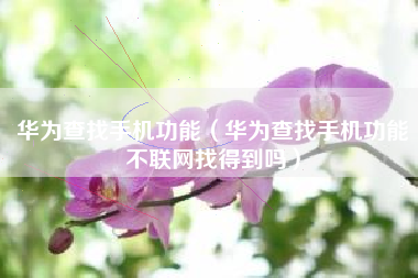 华为查找手机功能（华为查找手机功能不联网找得到吗）