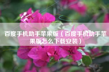 百度手机助手苹果版（百度手机助手苹果版怎么下载安装）