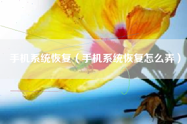手机系统恢复（手机系统恢复怎么弄）