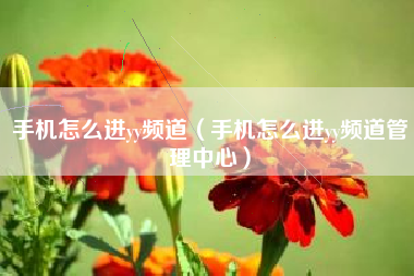 手机怎么进yy频道（手机怎么进yy频道管理中心）