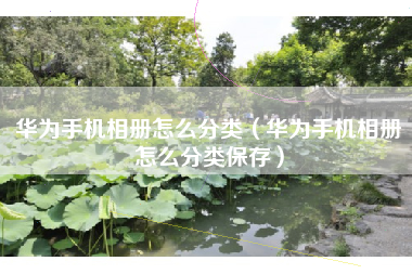 华为手机相册怎么分类（华为手机相册怎么分类保存）