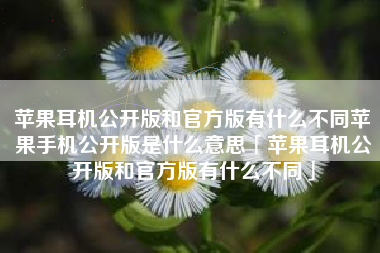 苹果耳机公开版和官方版有什么不同苹果手机公开版是什么意思「苹果耳机公开版和官方版有什么不同」