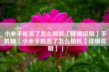 小米手机丢了怎么锁机【详细说明】手机锁「小米手机丢了怎么锁机【详细说明】」