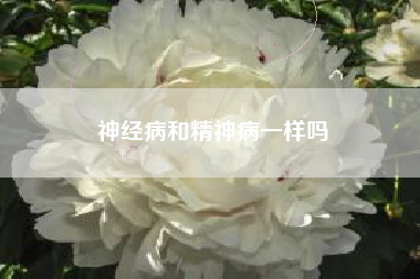 神经病和精神病一样吗