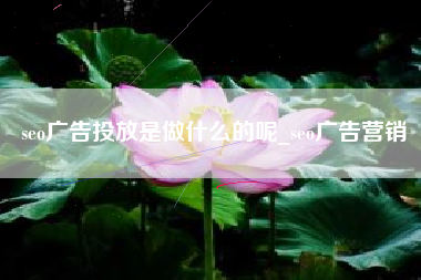 seo广告投放是做什么的呢_seo广告营销