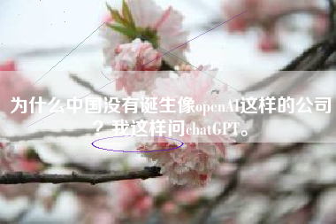 为什么中国没有诞生像openAI这样的公司？我这样问chatGPT。
